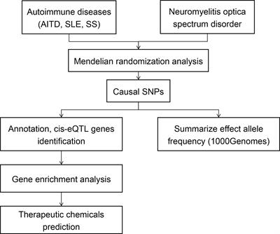 The causal relationship between neuromyelitis optica spectrum disorder and other autoimmune diseases